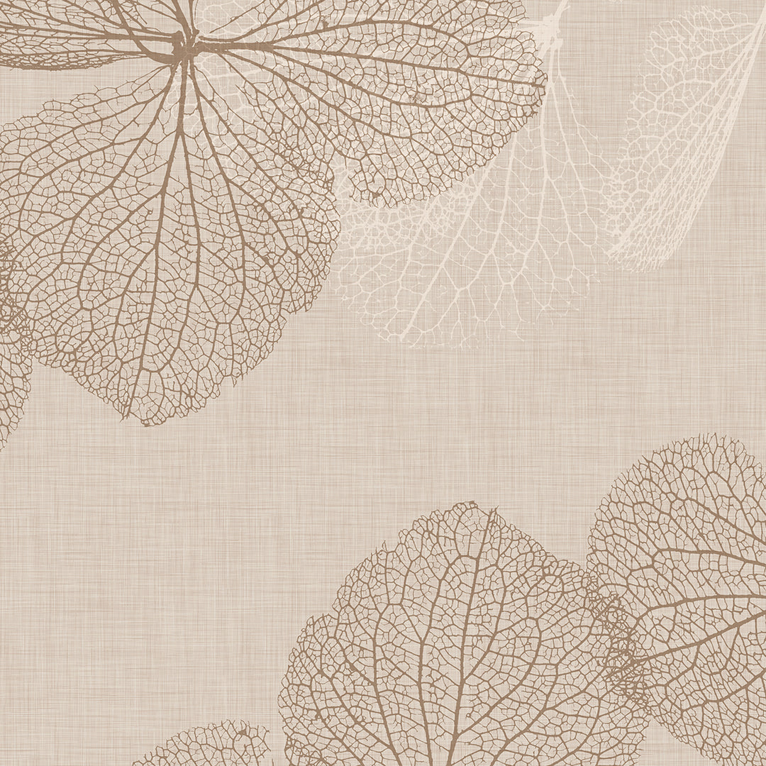 Dry Leaf