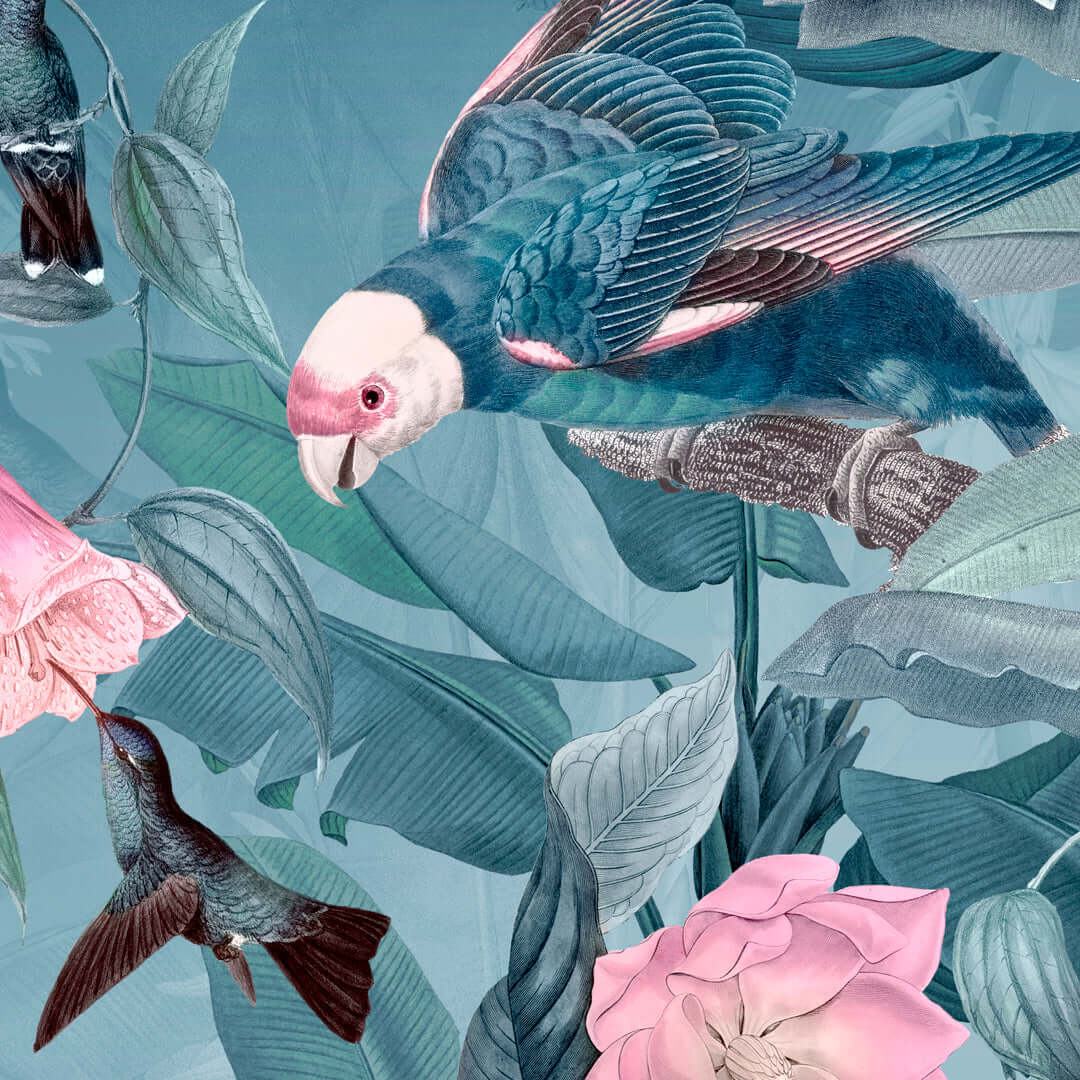 Bluebird - Wallverse