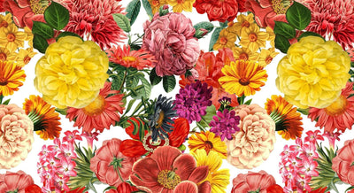 Floral | Carta da parati floreale