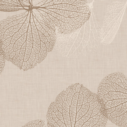 Dry Leaf