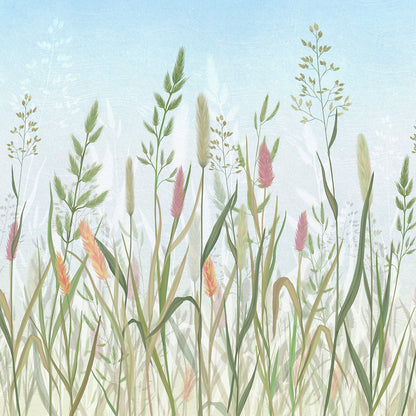 Fiori di campo