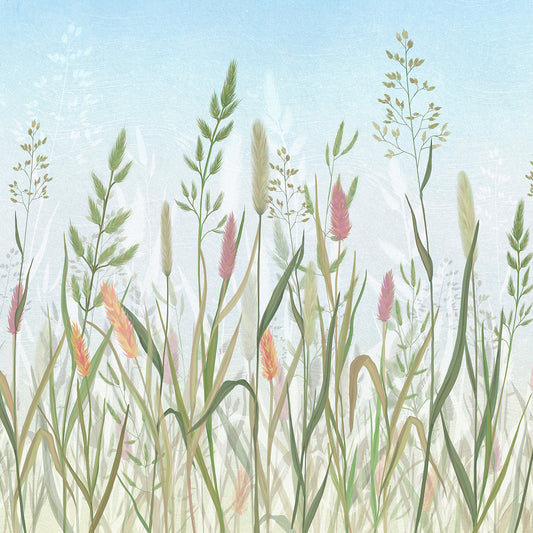 Fiori di campo